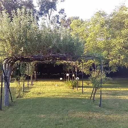 Linda Casa Em Meio A Natureza Localizada Em Seixas Viana do Castelo